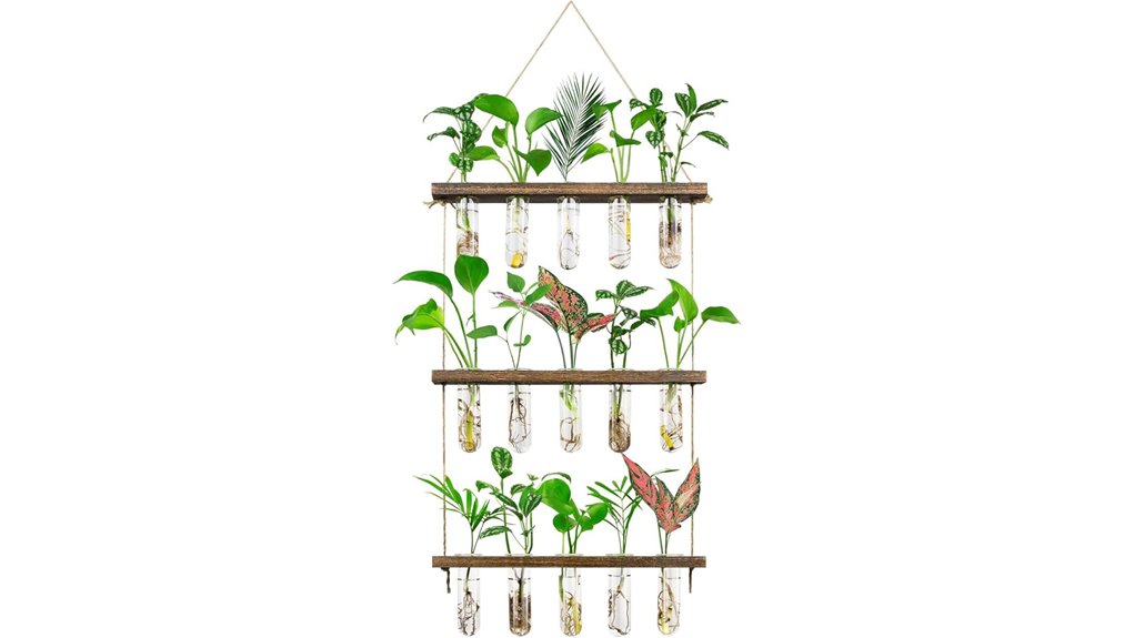 monsiter qe wall terrarium