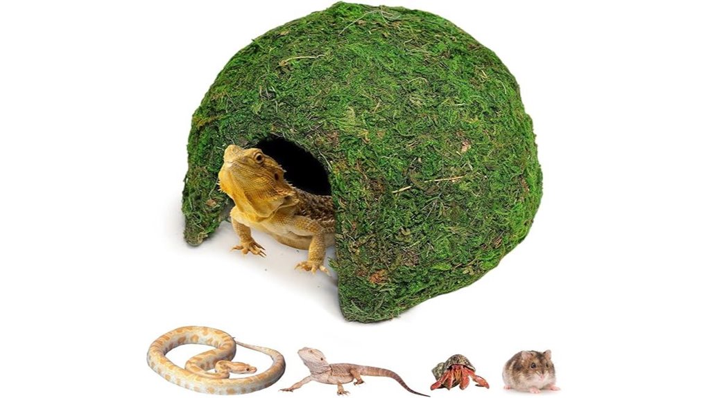 mossy rounded reptile hideout