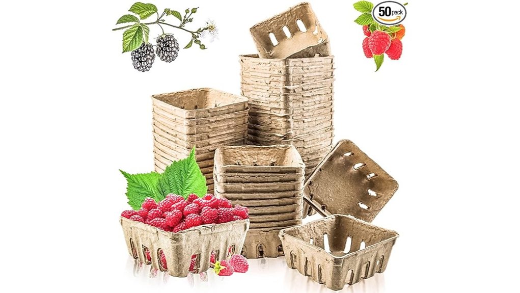 natural berry pulp baskets
