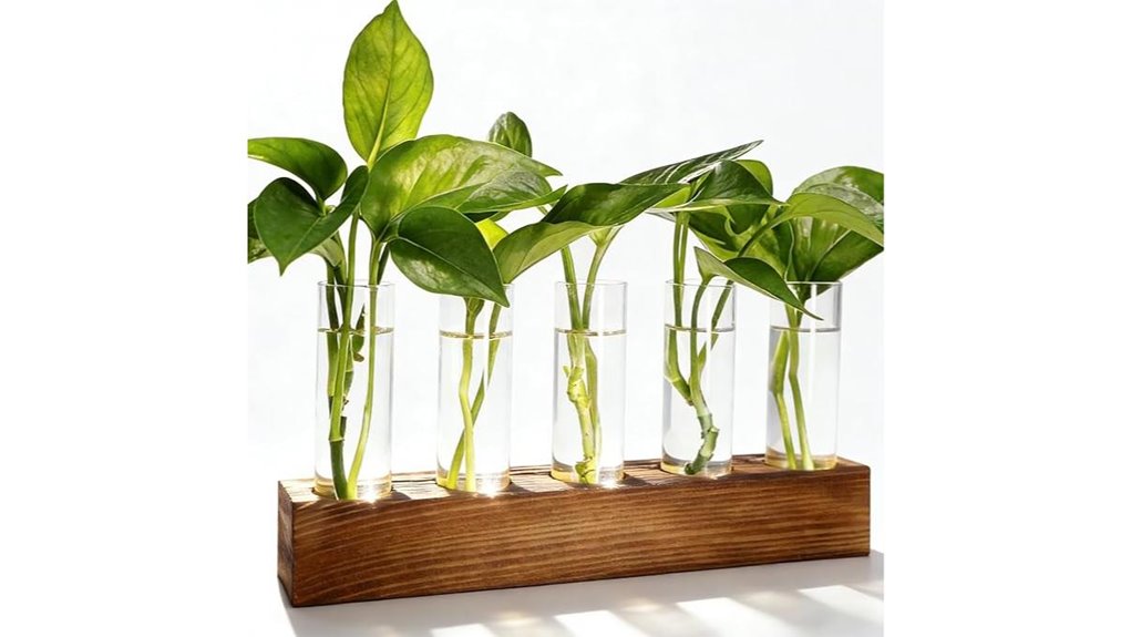 plant propagation five tube terrarium