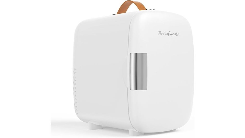 portable 4l 12v fridge