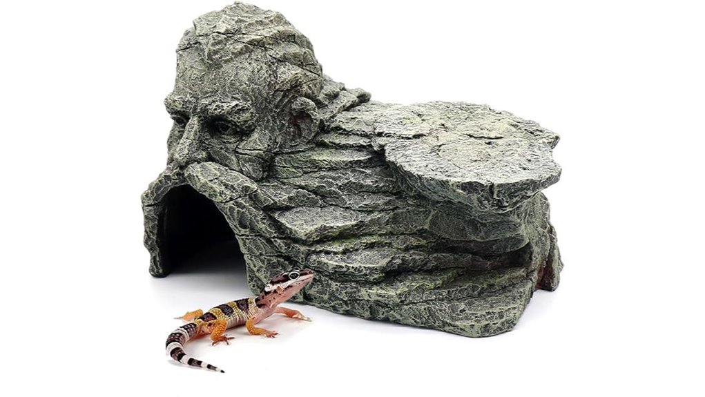 reptile rock basking hiding cave