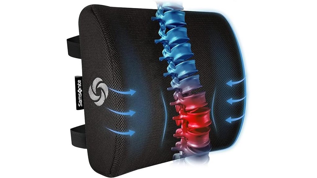 samsonite lumbar foam pillow