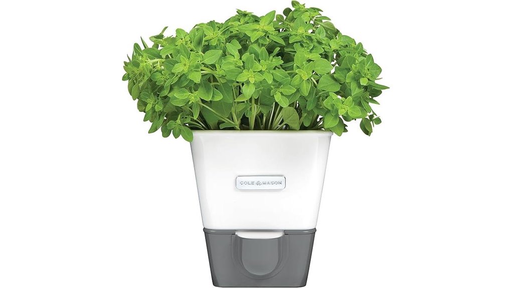 self water herb keeper with pour spout