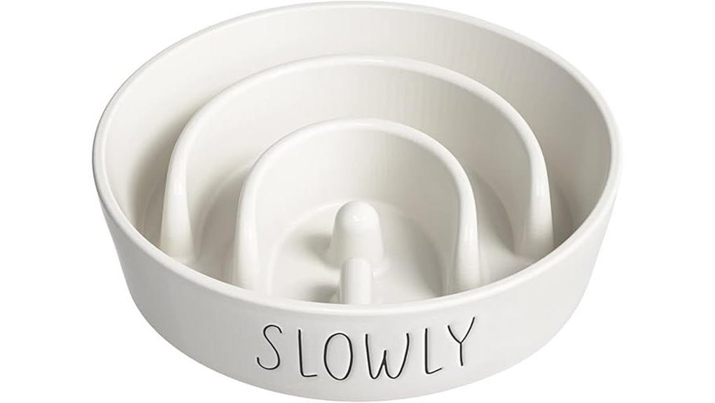 slow feeder ceramic dog bowl