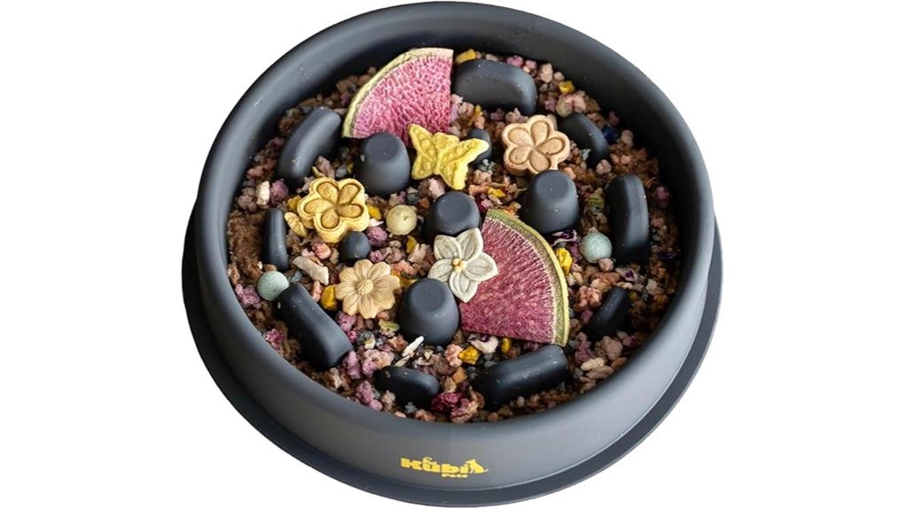 slow feeder improves digestion