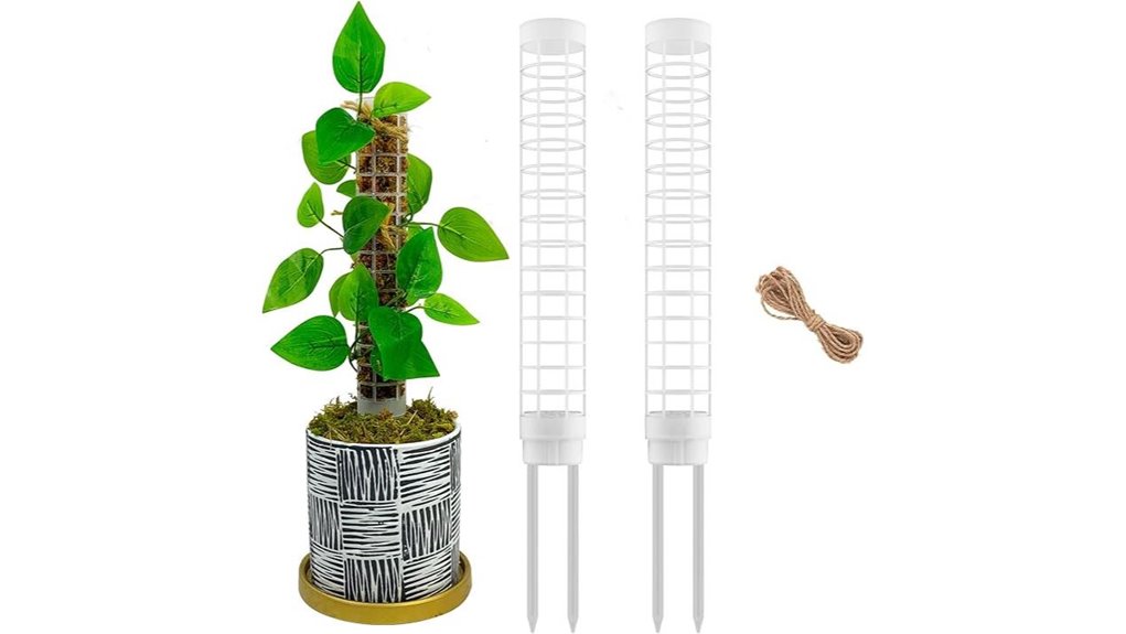 small monstera moss poles