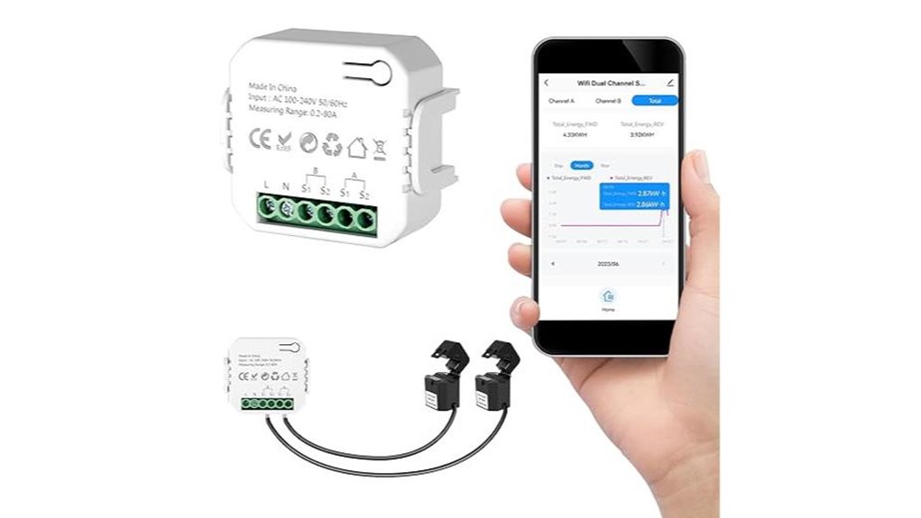 smart dual channel energy monitor