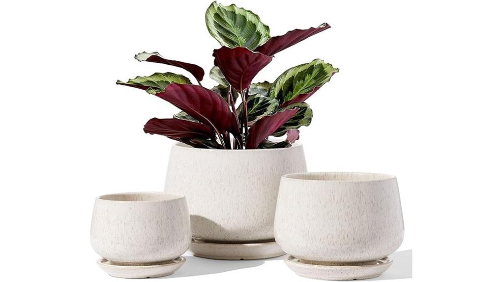 tauci ceramic plant pots