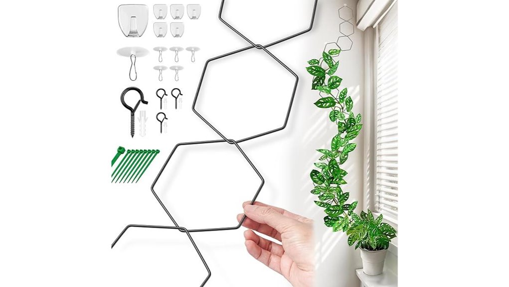 versatile indoor outdoor chain trellis