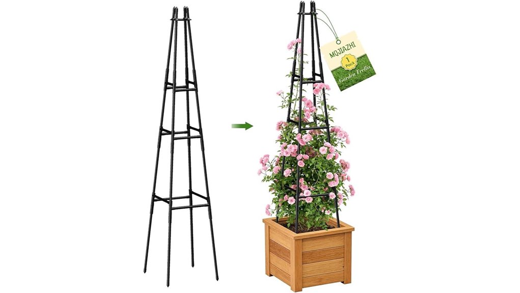 vertical trellis for vines