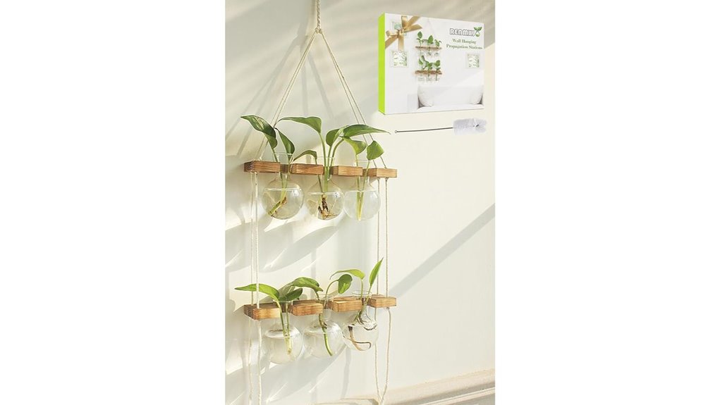 wall mounted plant propagation terrarium