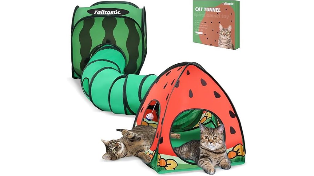 watermelon cat 3 in 1 fun