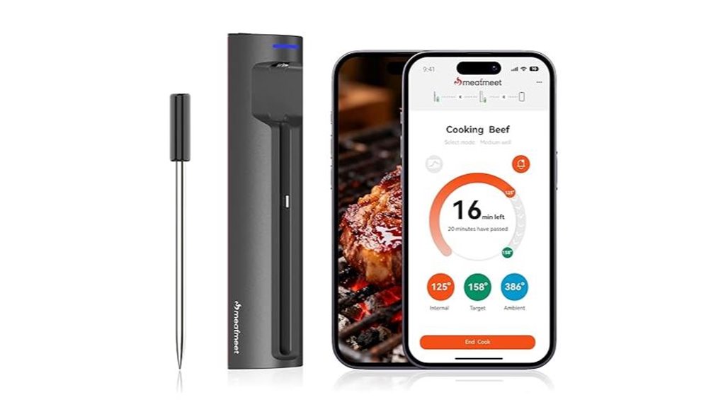 wifi bluetooth smart thermometer