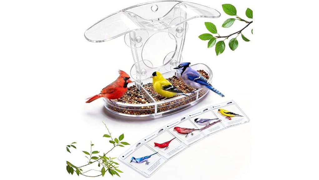 window feeder acrylic ids