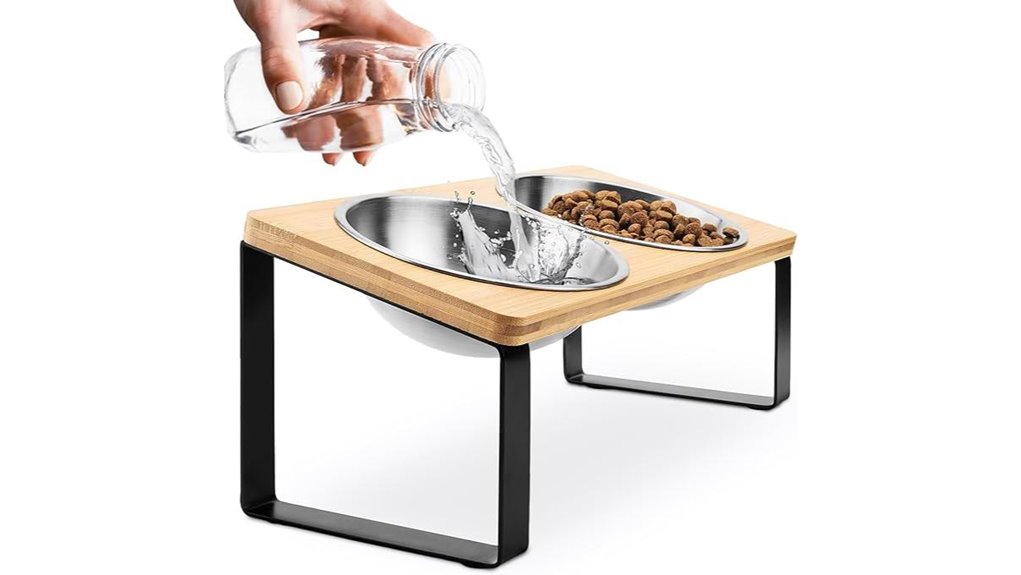 wintruffles raised cat bowls