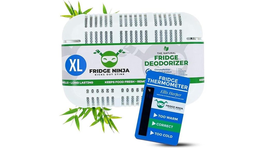 xl refrigerator freezer odor